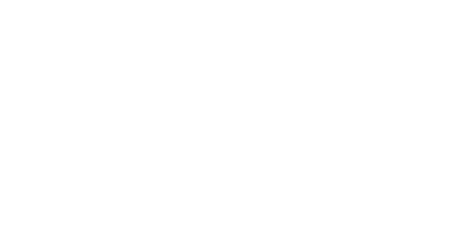 Bluffline Logo Reverse